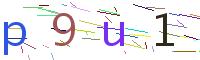 Verify Code