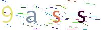 Verify Code