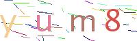 Verify Code