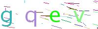 Verify Code