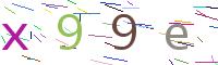 Verify Code