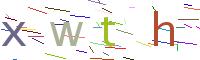 Verify Code