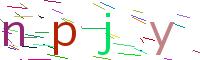 Verify Code