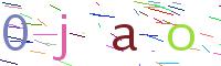 Verify Code