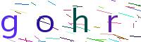 Verify Code