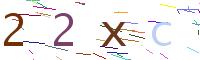 Verify Code