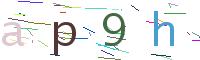 Verify Code