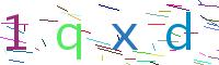 Verify Code