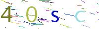 Verify Code
