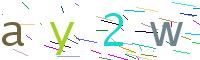 Verify Code