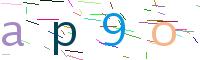 Verify Code