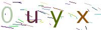 Verify Code