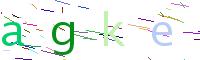 Verify Code