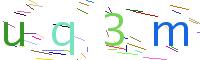 Verify Code