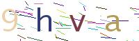 Verify Code