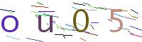 Verify Code