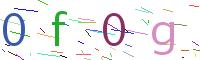 Verify Code