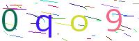 Verify Code
