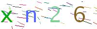 Verify Code
