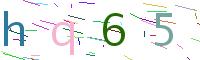 Verify Code