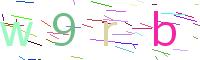 Verify Code