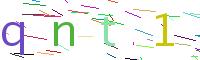 Verify Code