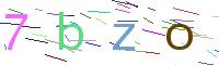 Verify Code