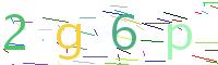 Verify Code