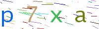 Verify Code