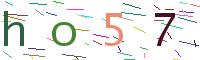 Verify Code