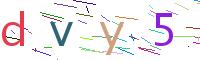 Verify Code