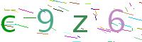 Verify Code