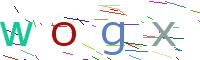 Verify Code