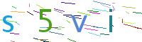 Verify Code