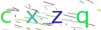 Verify Code