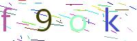 Verify Code