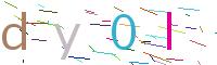 Verify Code
