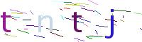 Verify Code