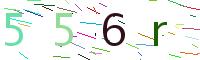 Verify Code