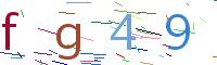 Verify Code