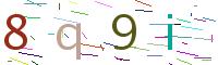 Verify Code