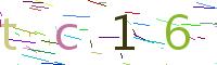 Verify Code