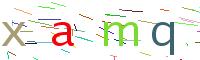 Verify Code