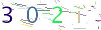 Verify Code