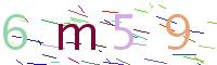 Verify Code