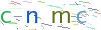 Verify Code